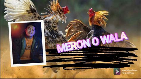 meron o wala sabong